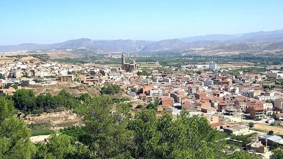 Vista d'Almenar