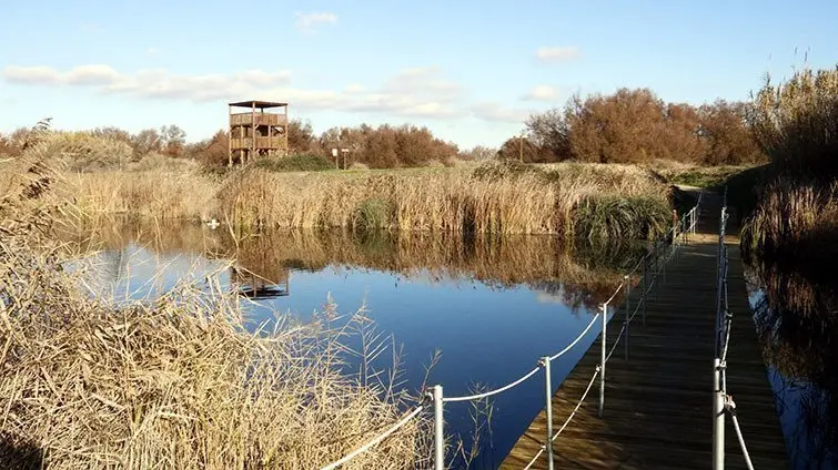 El pont recobert de fusta i el mirador d'aus dels aiguamolls de Rufea ©LauraCortés