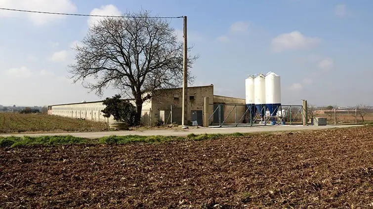 Granja en la qual es va detectar el brot de grip aviària a Arbeca ©AnnaBerga