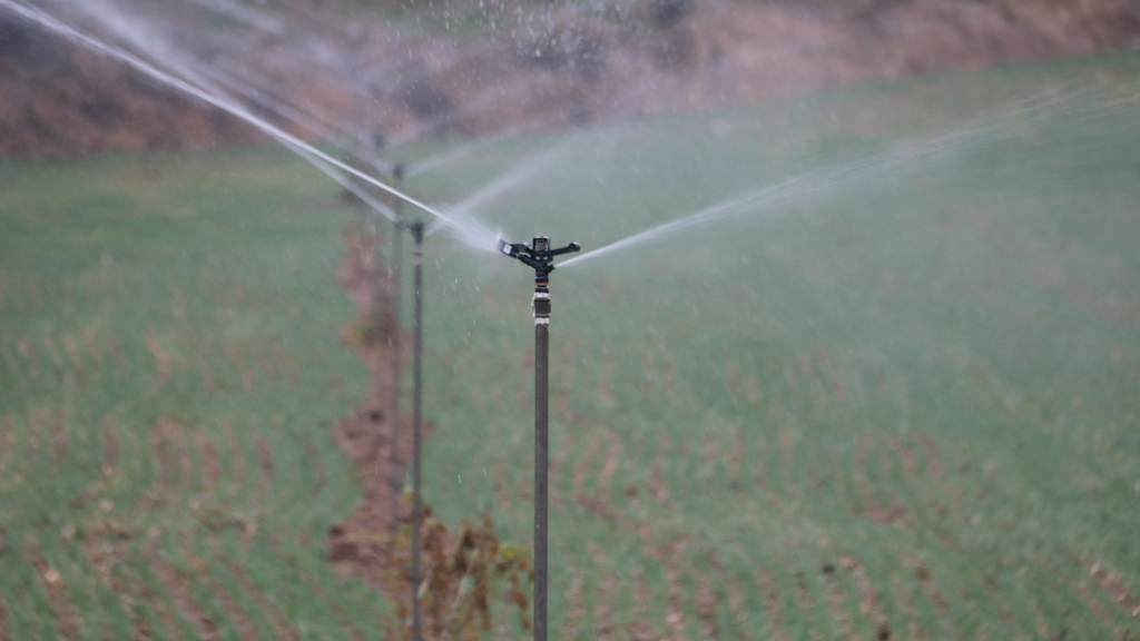 Imatge detall del sistema de reg en un terreny cultivat a Sarroca de Lleida ©Ignasi Gómez