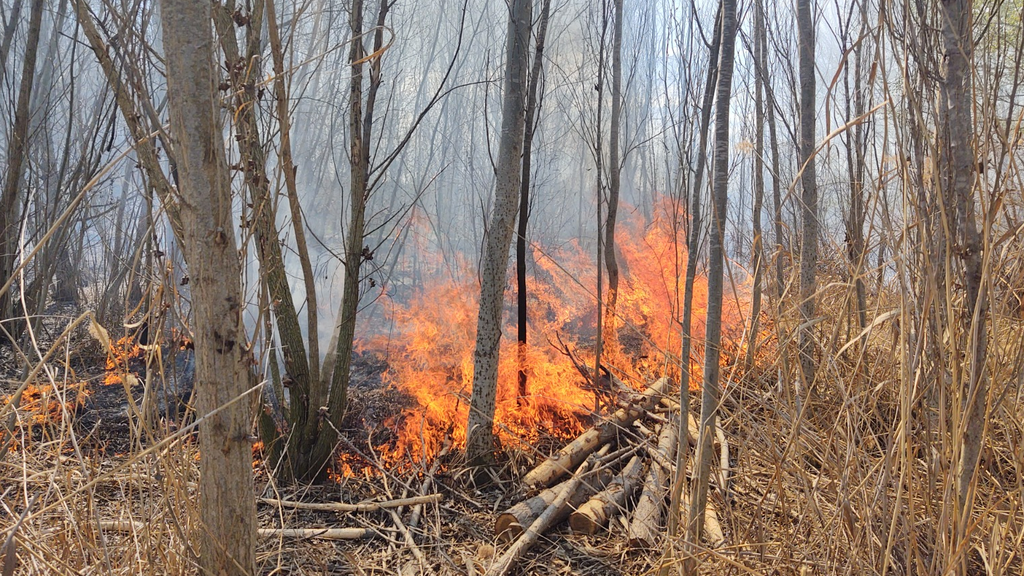 Incendi al bosquet de l'estany d'Ivars i Vila-sana ©Rafel Rocaspana