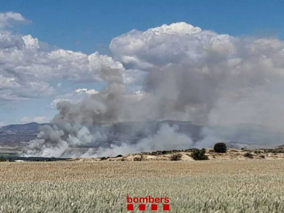 Incendi de vegetació de ribera a Almenar

Data de publicació: dilluns 01 de maig del 2023, 15:14

Localització: Almenar

Autor: Cedida pels Bombers