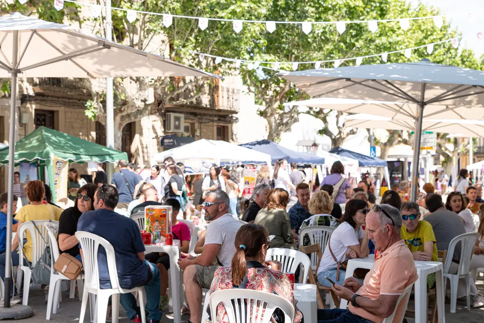 El Festival Matsuri d'Ivars d'Urgell - Foto: JordiVinuesa