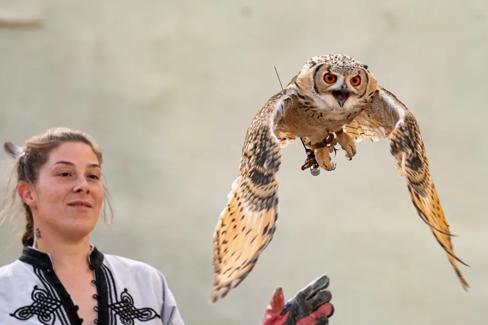 Actes de celebració de la Festa Major de Sant Gaietà 2023 a Aitona - Foto: Jordi Vinuesa