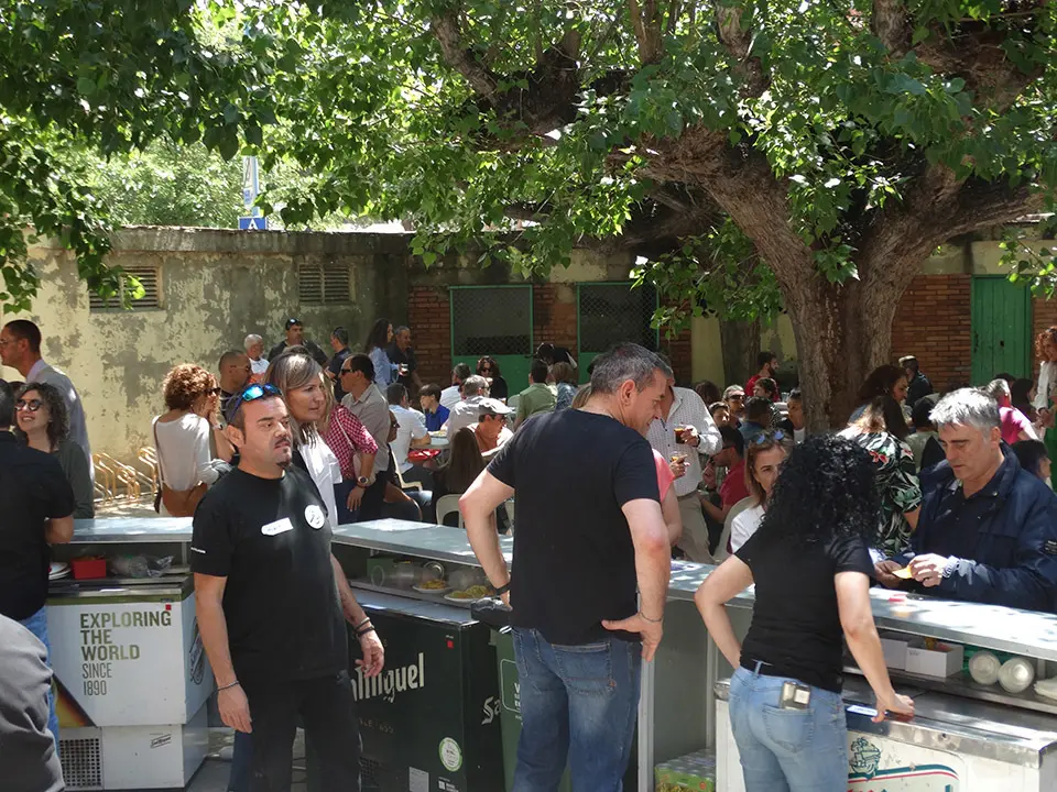 Actes durant la celebració de la Festa Major de Mollerussa 2023 - Foto: Marina Pallàs i Barta