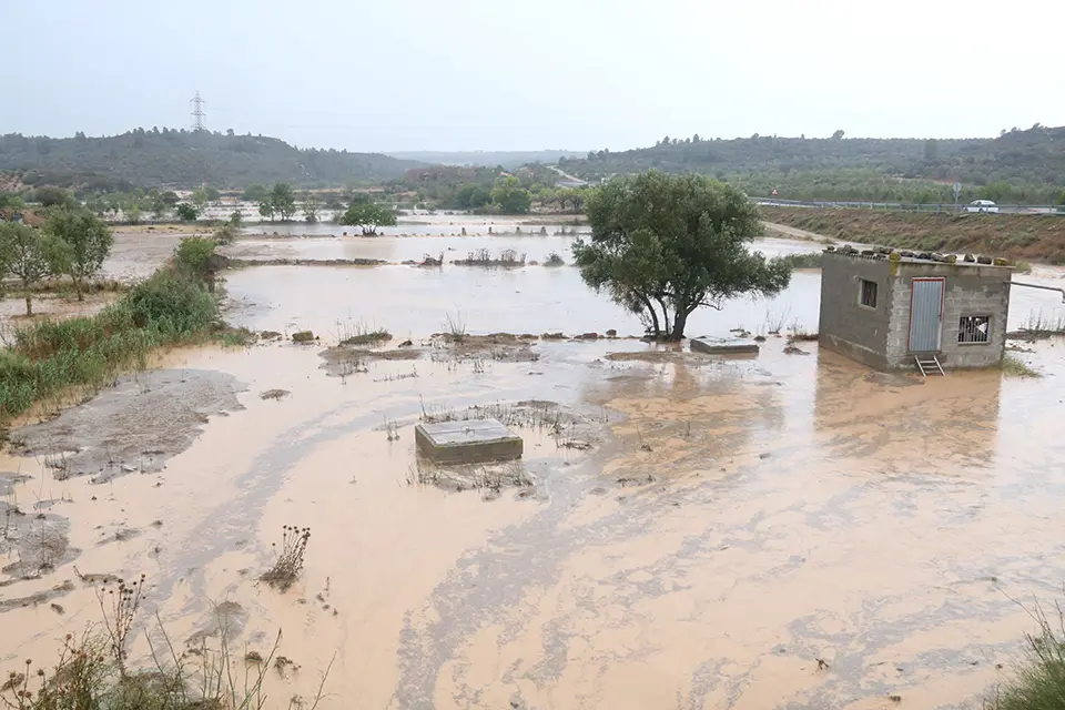 Una zona amb cultius de cereal i oliveres negada per l'aigua a l'accés a Torrebesses

Data de publicació: diumenge 11 de juny del 2023, 19:32

Localització: Torrebesses

Autor: Ignasi Gómez