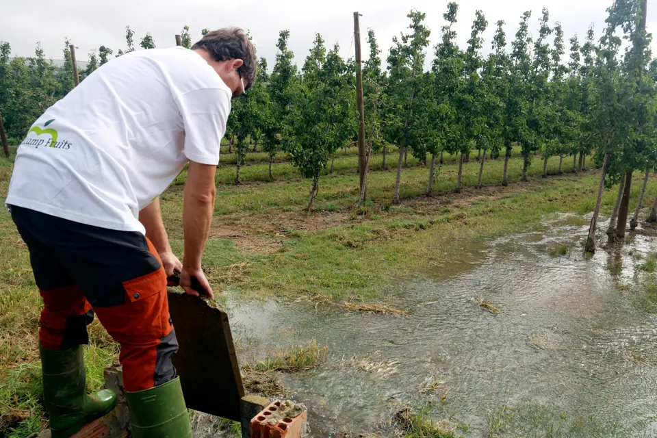 Un pagès obrint la pala de reg en una finca de peres de Puiggròs - Foto: Oriol Bosch