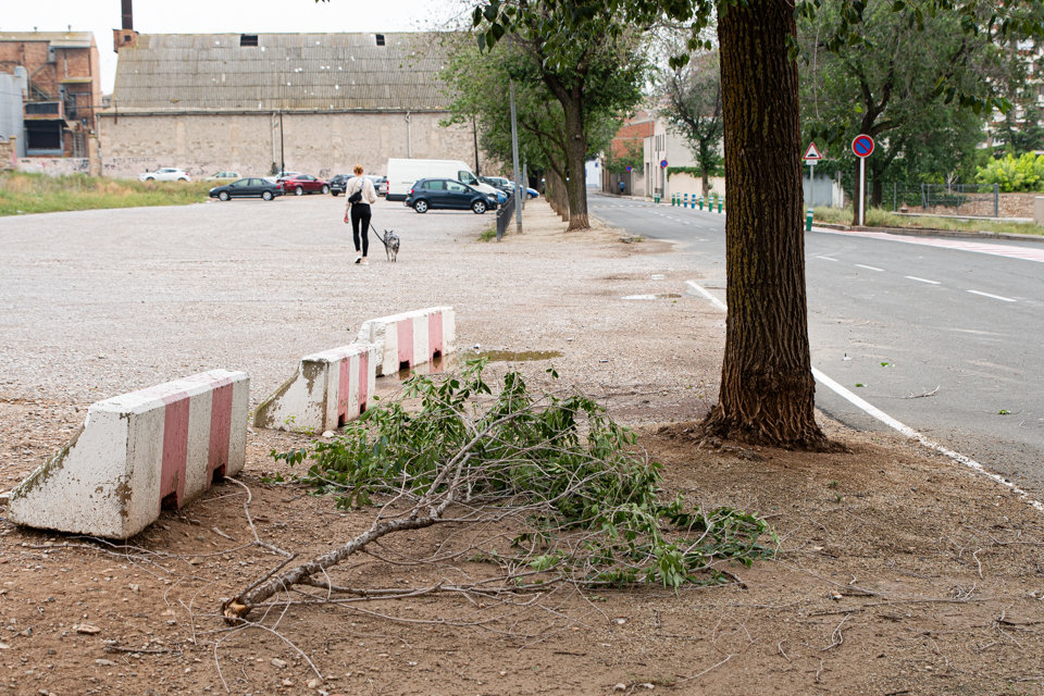Els bombers han rebut 40 avisos com a consequüència del temporal, la majoria per branques o arbres caiguts - Foto: Jordi Vinuesa