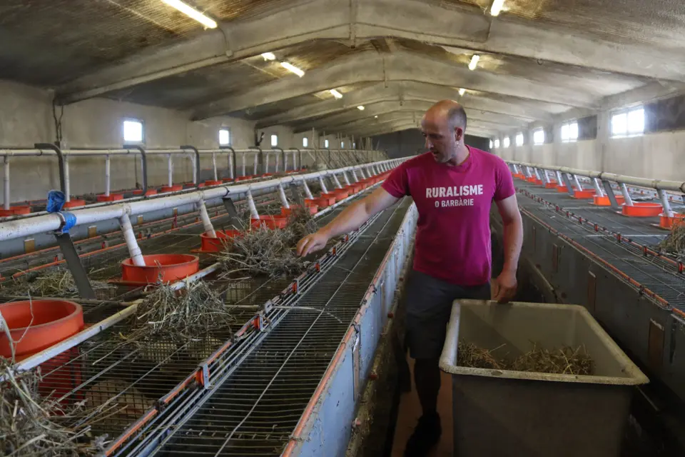 Arnau Vilaseca a la granja de Cal Palà, a Prades de la Molsosa - Foto: Mar Martí