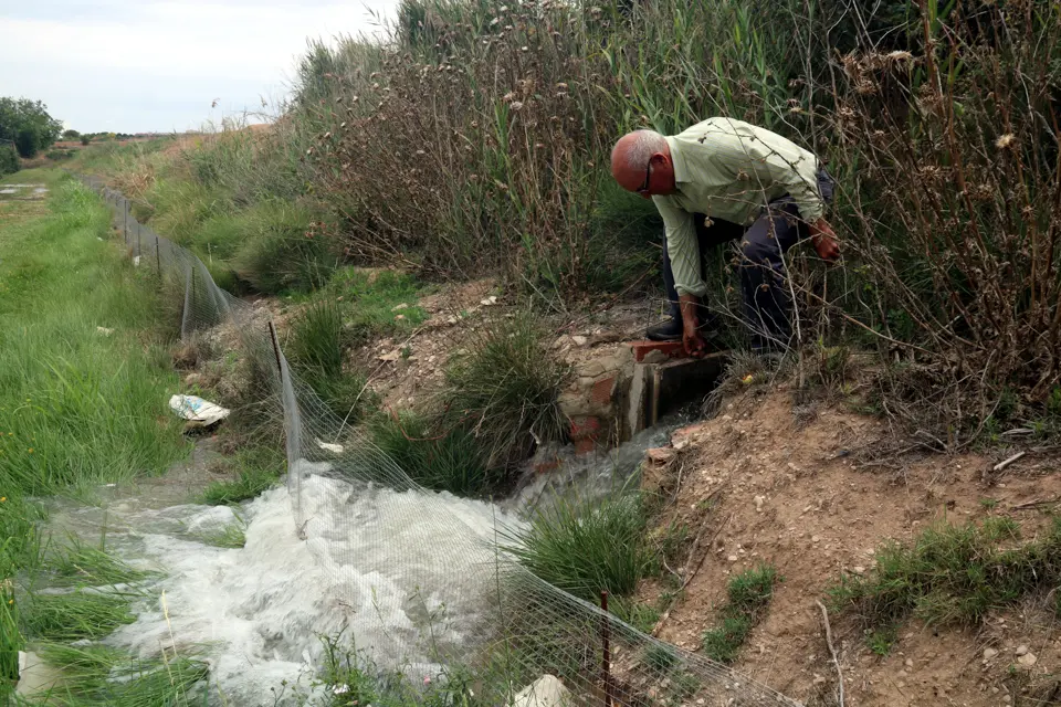 El productor Albert Capdevila aixeca la pala de reg en una finca de pomeres que té a Puiggròs, a les Garrigues - Foto: Anna Berga