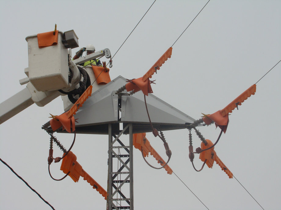 Prototip per evitar que cigonyes facin el niu en torres elèctriques - Foto: Cedida per Endesa