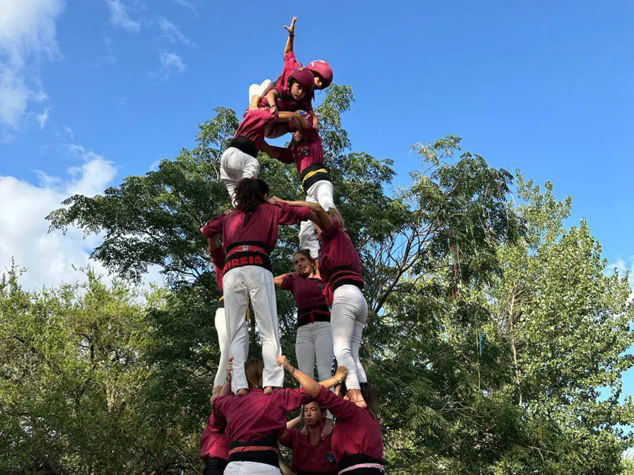 4d6 dels Castellers de Lleida en una actuació durant la Festa Major d'Alpicat - Foto: Castellers de Lleida