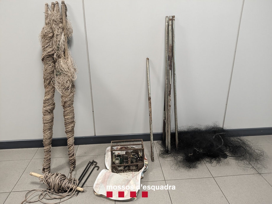 La xarxa japonesa i altres objectes que els denunciats feien servir per caçar ocells fringíl·lids a Lleida - Foto: Cedida pels Mossos d'Esquadra