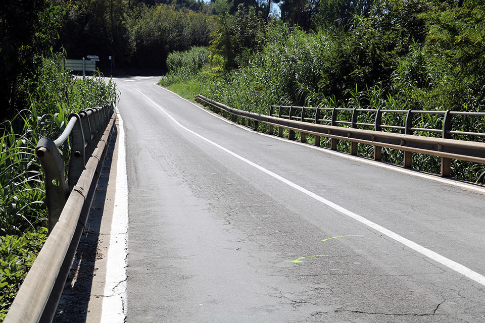 Marques a l'asfalt de la carretera C-230a al punt quilomètric 9 al seu pas per Sudanell (Segrià) - Foto: Alba Mor