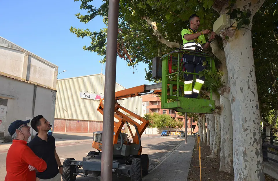 Instal·lació d'altaveus per dissuadir estornells l'avinguda del Canal de Mollerussa - Foto: Cedida per l'Ajuntament de Mollerussa