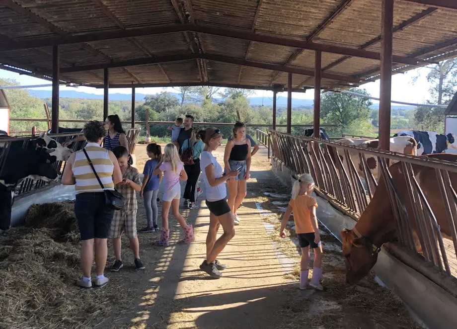 Visita a una granja durant la celebració de 'La Festa' de 'Benvinguts a pagès' - Foto: Benvinguts a pagès