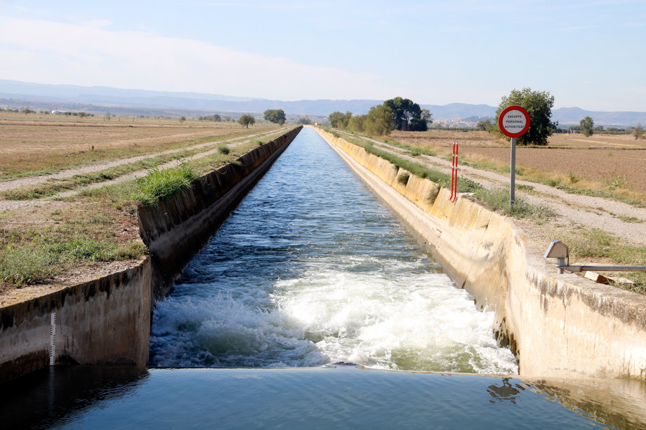 El canal d'Urgell amb aigua circulant entre Vilanova de Bellpuig i Arbeca - Foto:  Oriol Bosch