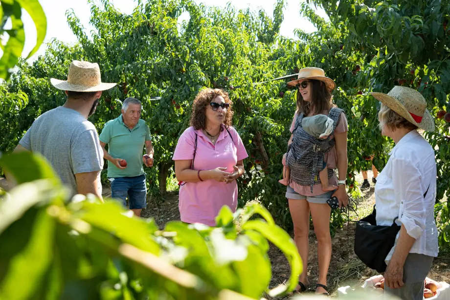 Imatge d'arxiu d'un grup de turistes durant la campanya de recollida del fruit a Aitona - Foto: Jordi Vinuesa