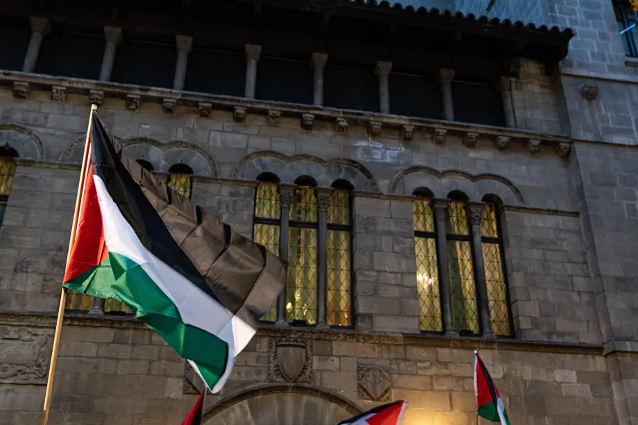 Manifestació en solidaritat al poble palestí a Lleida - Foto: Jordi Vinuesa