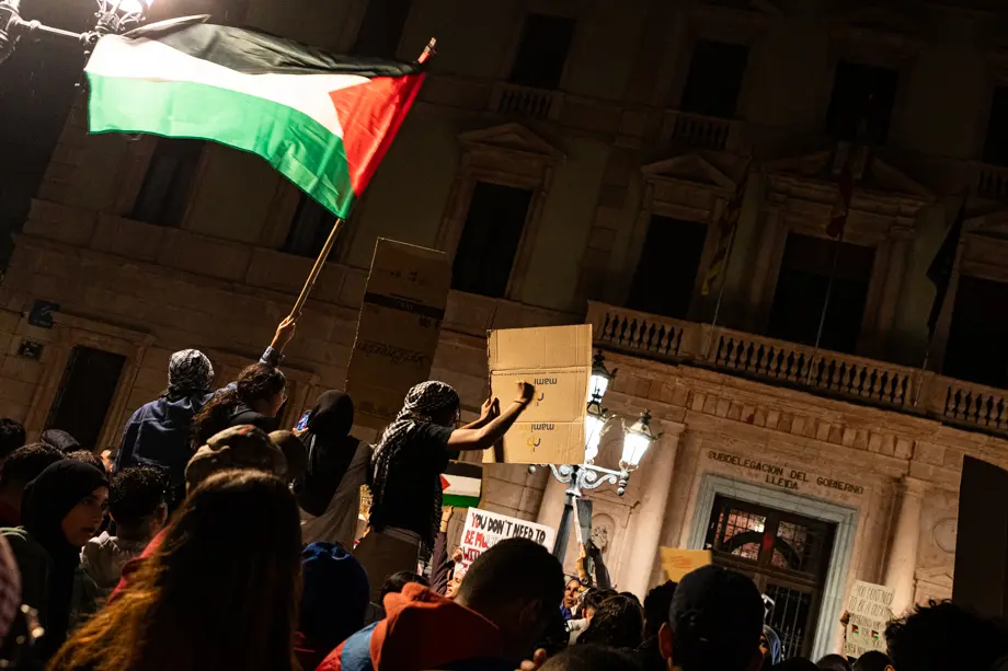 La manifestació en solidaritat al poble palestí ha acabat la delegació del govern de Lleida - Foto: Jordi Vinuesa