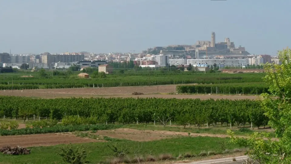 L’Ajuntament de Lleida convoca una nova edició dels Premis Horta