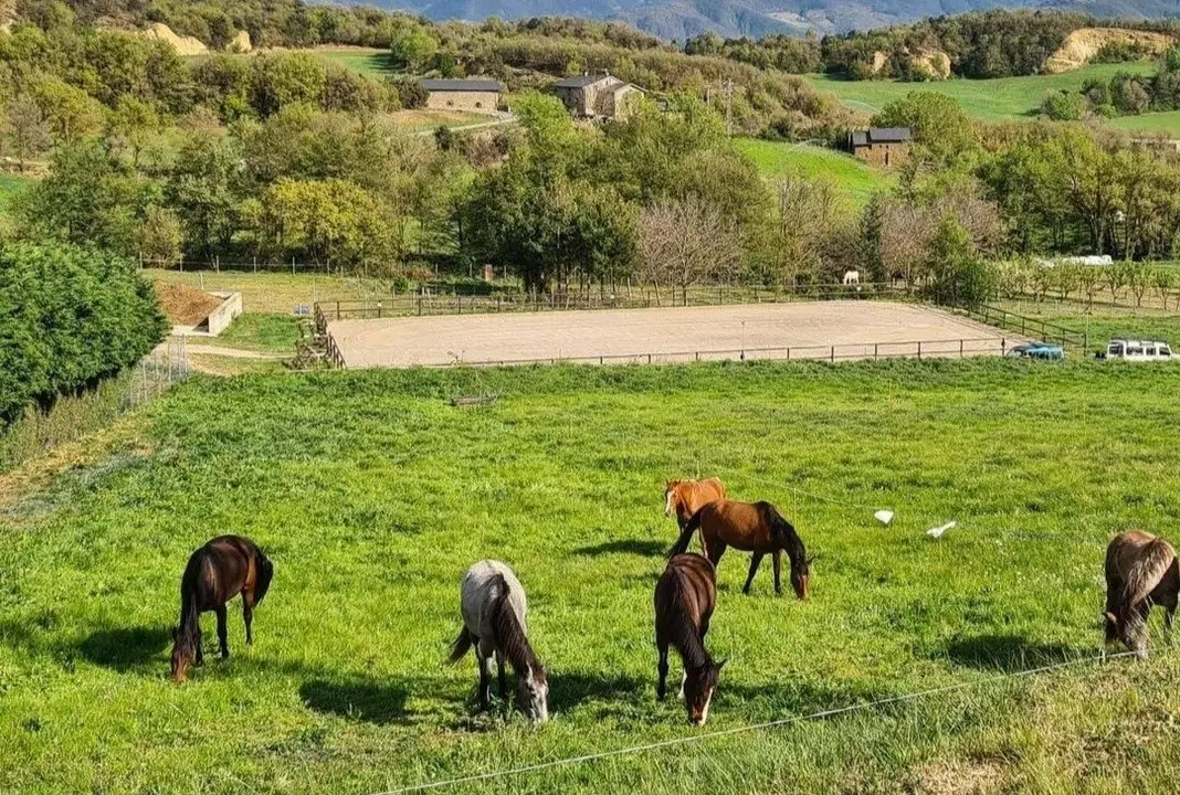 Quadriplicació d'hectàrees