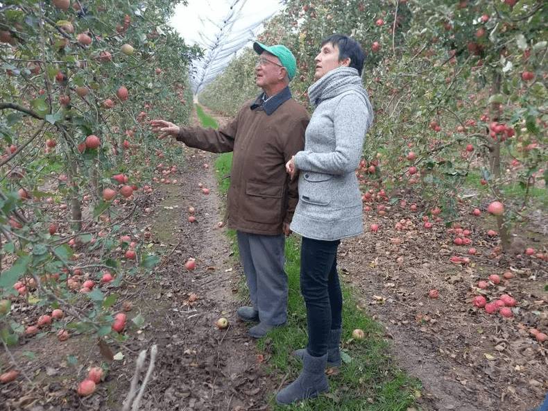 La directora general d'Agricultura i Ramaderia, Elisenda Guillaumes, durant una visita a una explotació a Lleida
- Foto: Departament d'Acció Climàtica