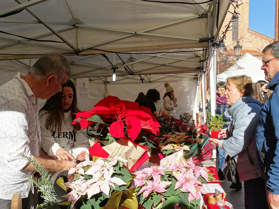 Mercat de Nadal Mollerussa 2023 digital11