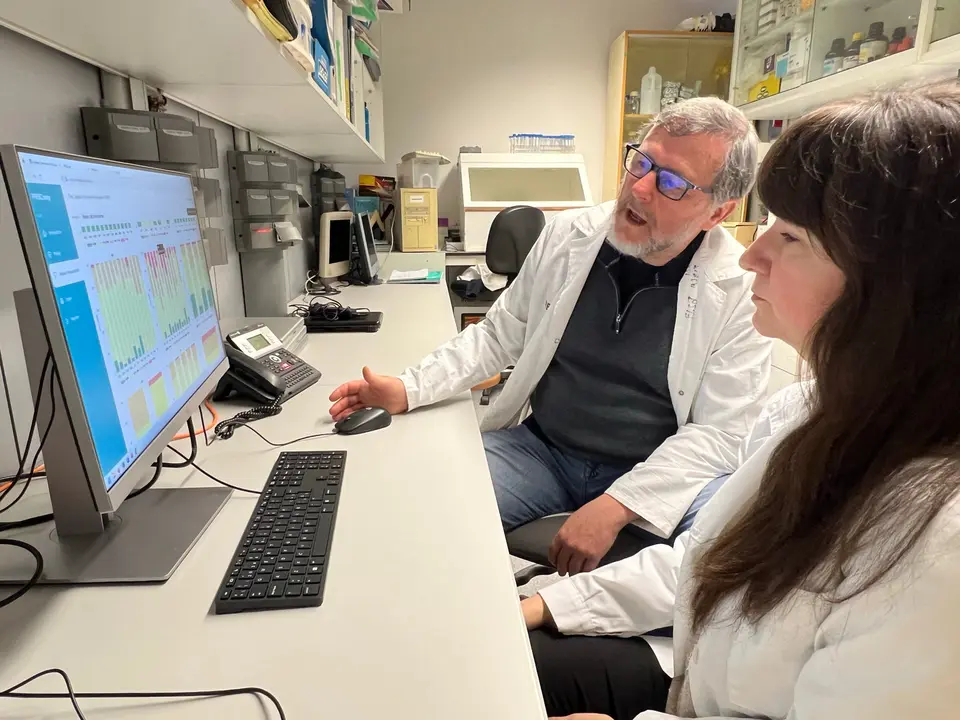 Els investigadors de la UdL i l'IRBLleida, Joan Fibla i Marina Laplana, treballant a l'ordinador amb l'aplicació GenPIR - Foto: Oriol Bosch