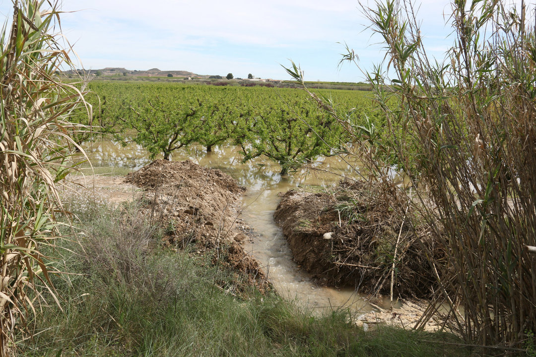 Els pagesos han fet canalitzacions per desguassar l'aigua dels camps - Foto: Ignasi Gómez