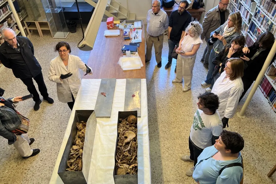Imatge de les restes dels Comtes d'Urgell. Foto: ACN