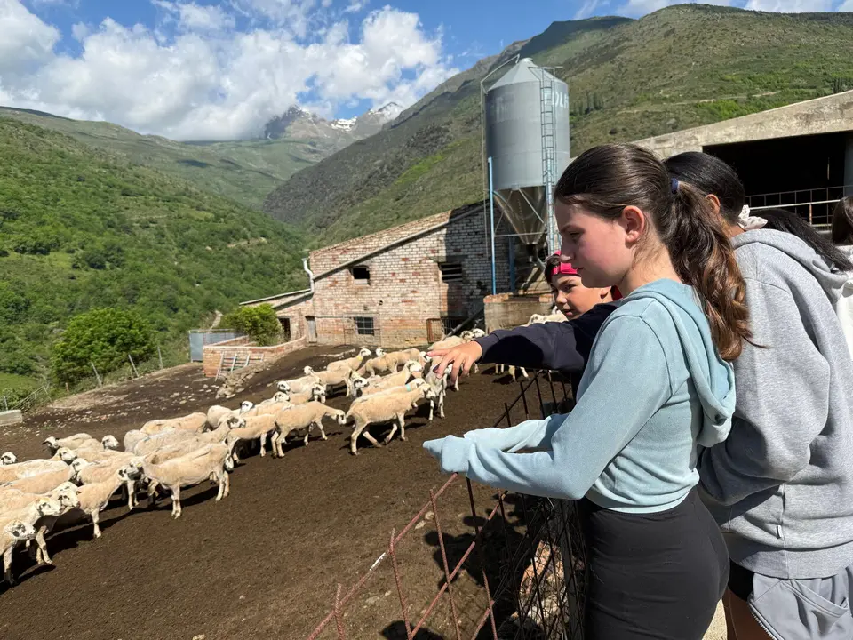 Alumnes observant un ramat d'ovelles a una explotació d'Escàs (Rialp)