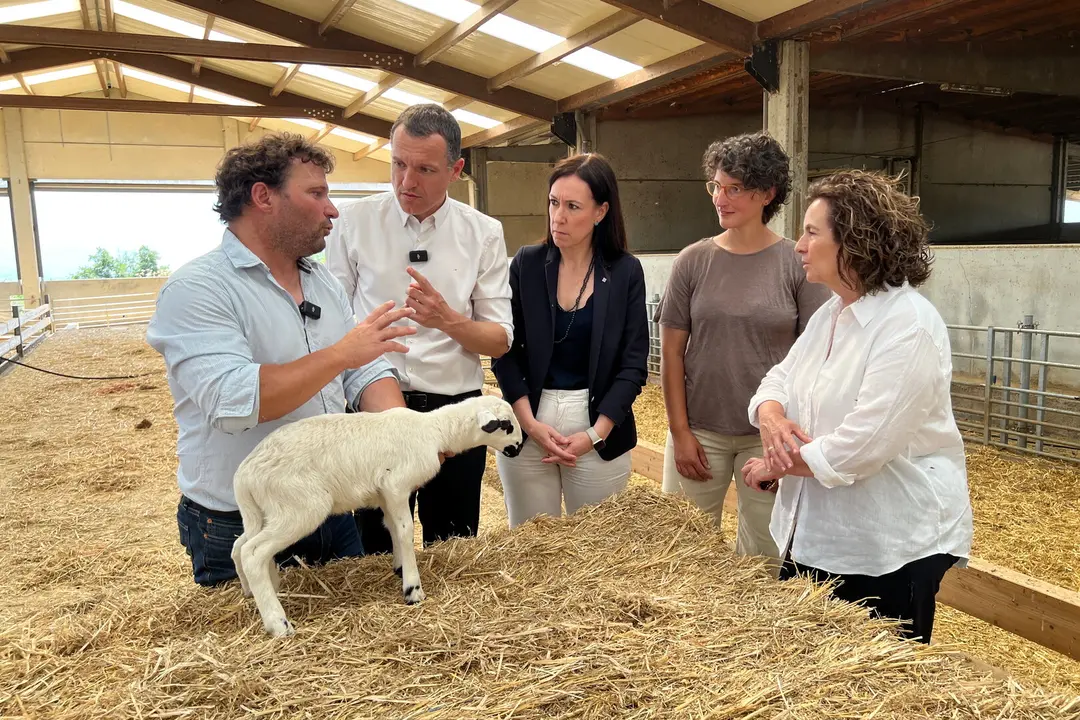 El conseller d'Agricultura, Òscar Ordeig, al costat d'un vedell d'una granja situada al municipi de Conca de Dalt (Pallars Jussà) acompanyat per la delegada del Govern a l'Alt Pirineu i Aran, Sílvia Romero