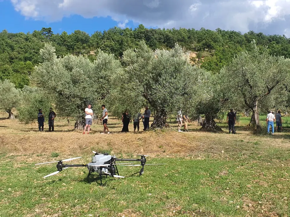 Jornada de demostració a una plantació d'oliveres de Gavet de la Conca d'aplicar tractaments aeris amb dron a les plantacions d'oliveres.