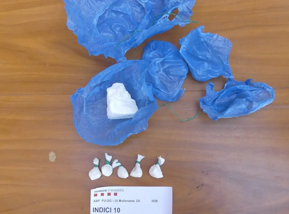 Imatge d'una part de la droga incautada. Foto: Mossos d'Esquadra