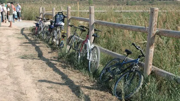 Imatge de les activitat al Parc natural de l'Estany d'Ivars i Vila-sana.