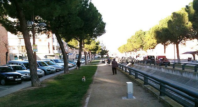 Els gossos no podran passejar per les zones verdes del municipi.