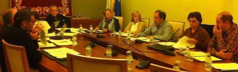 Ple ordinari març 2'14