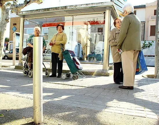 Els veïns d'Ivars d'Urgell observen el masteler tallat davant de l'Ajuntament.