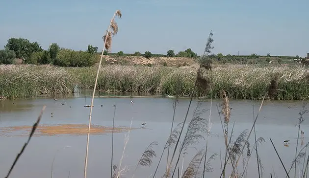 Imatge de l'Estany d'Ivars i Vila-sana.