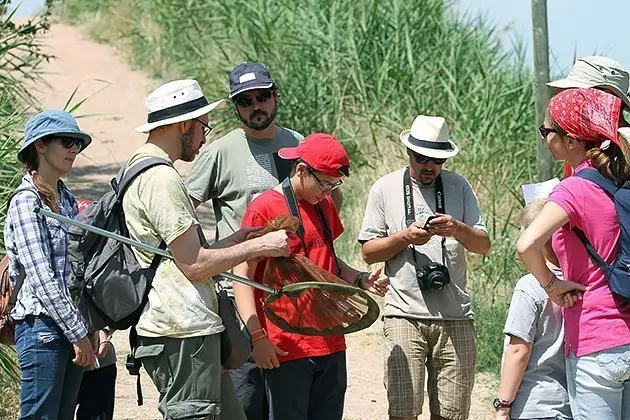 Una vintena de persones participen en el taller d'invertebrats dirigit per Carles Solà.