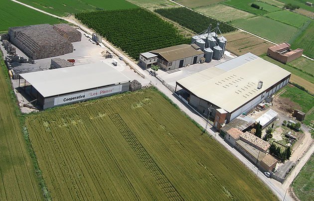 Imatges de les instal·lacions de la Cooperativa Agrícola Les Planes de Torregrossa.