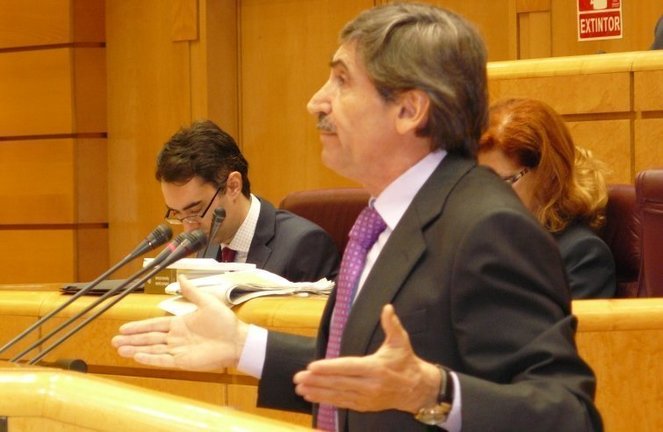 Ramon Alturo durant la seva intervenció al Senat