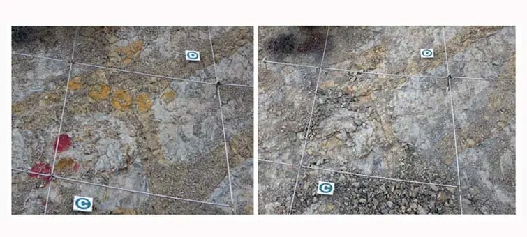 El jaciment museu d'ous de dinosaure de Coll de Nargó abans i després