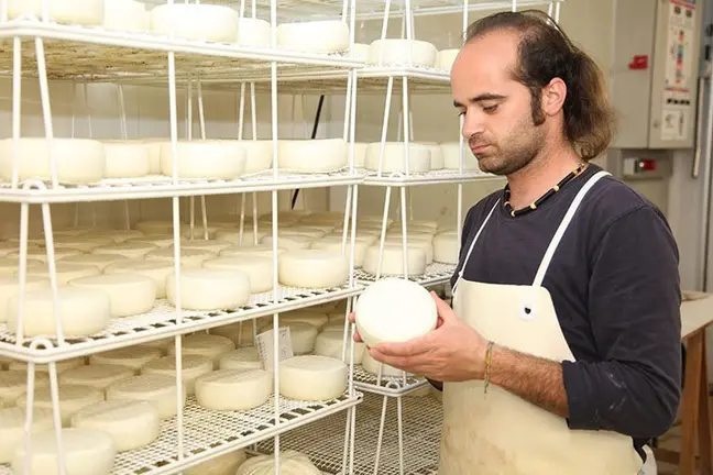 Robert Camps formatges guardonat amb la medalla d'or en el World Cheese Awards