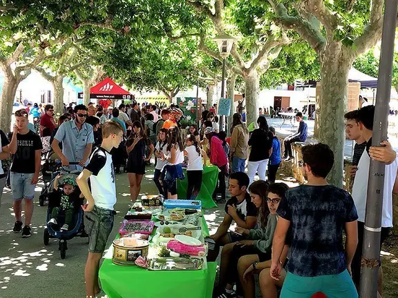 La plaça Planell va acollir la mostra d'artesania i productes derivats de la camamilla