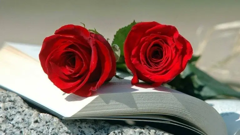 Roses, llibres i un record per tots aquells que estan privats de llibertat i a l'exili per les seves idees