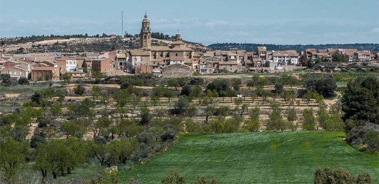 Imatge de les oliveres i el municipi de la Granadella
