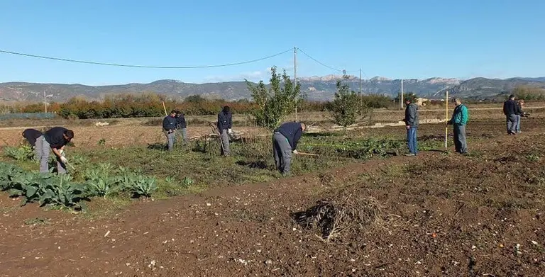 Imatge d'edicions anteriors del projecte Cultiva't Horts Comunitaris