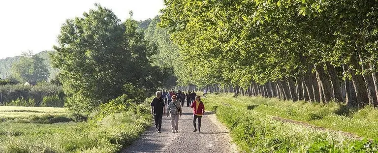 Espais verds en les banquetes dels Canals d'Urgell